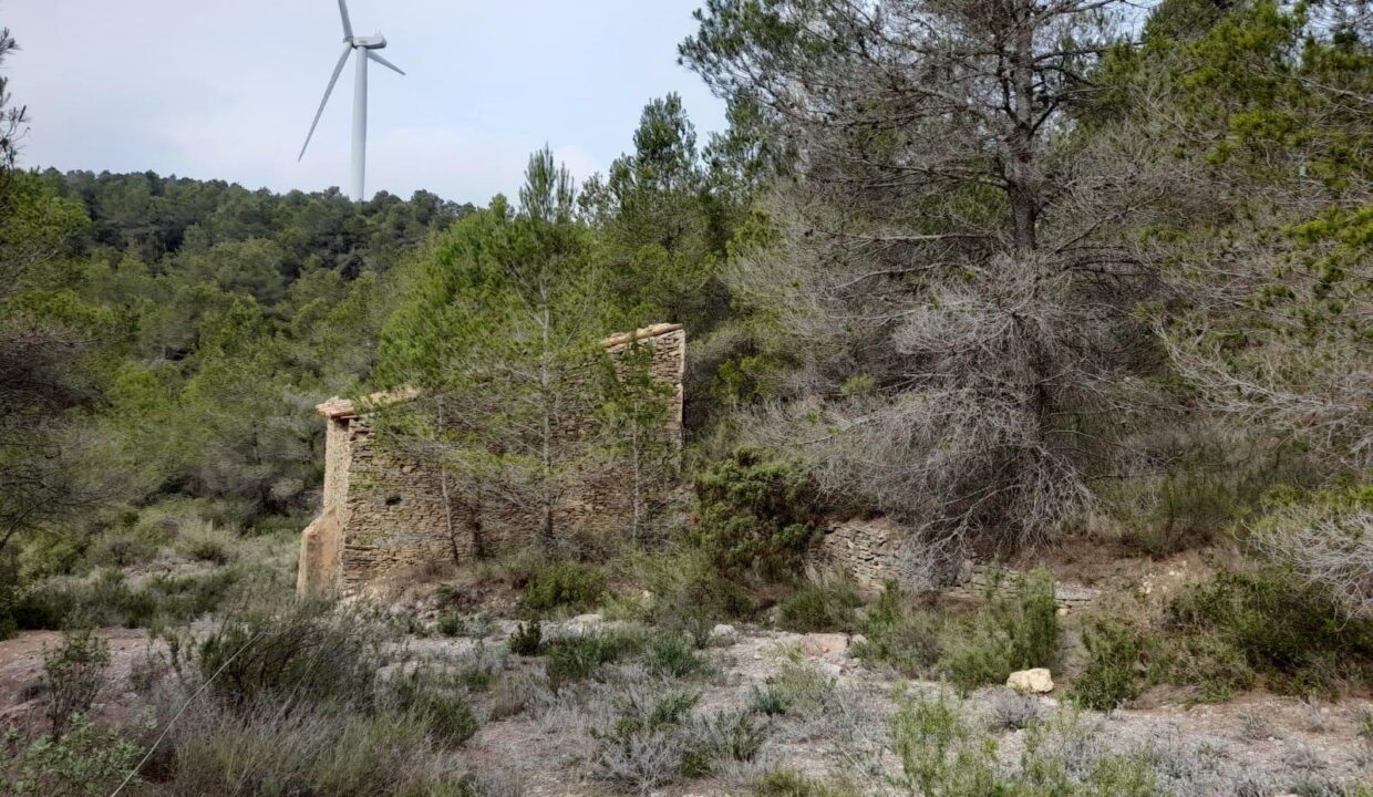 FINCA RUSTICA EN MORA D´EBRE CON MASIA DE PIEDRA SECA_3