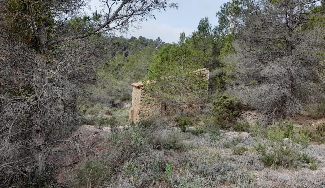 FINCA RUSTICA EN MORA D´EBRE CON MASIA DE PIEDRA SECA_4