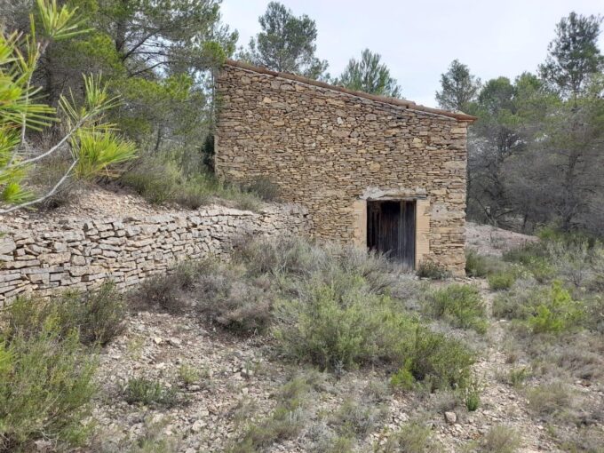 FINCA RUSTICA EN MORA D´EBRE CON MASIA DE PIEDRA SECA_1