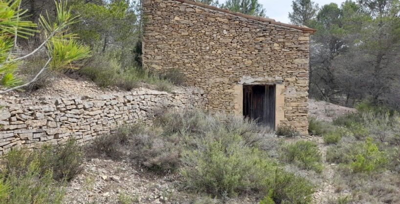 FINCA RUSTICA EN MORA D´EBRE CON MASIA DE PIEDRA SECA_1