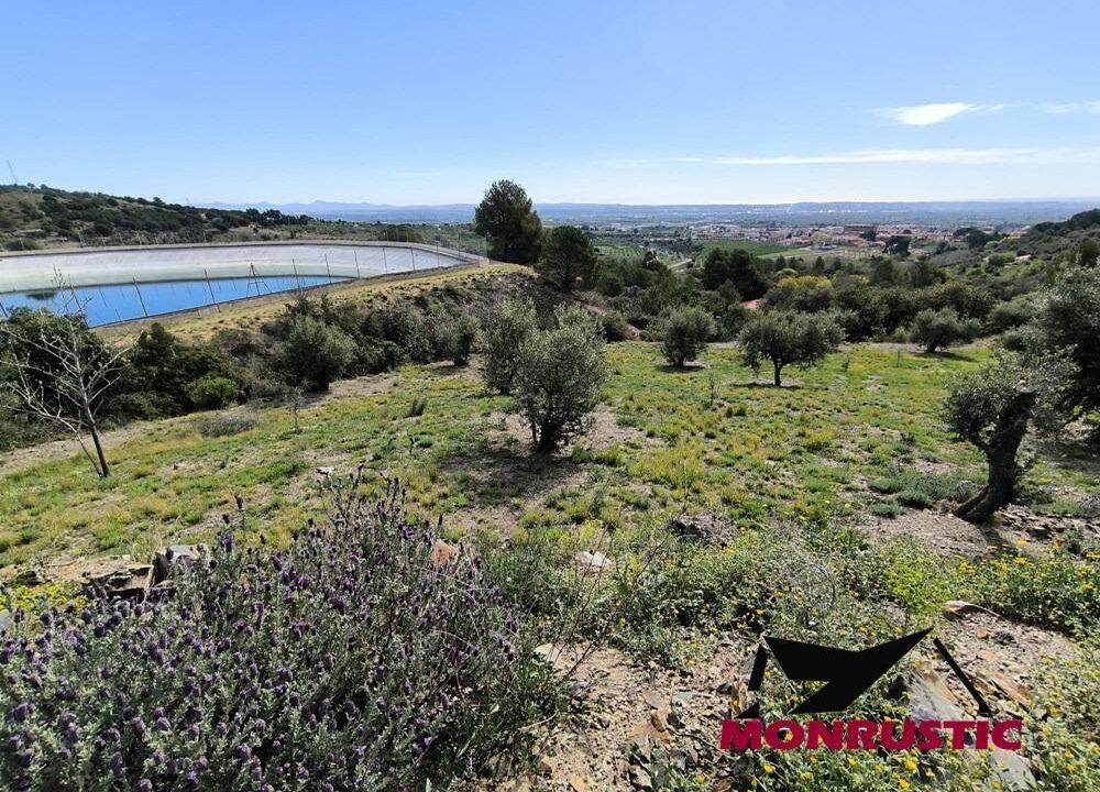 FINCA RUSTICA EN VENTA A 5 MINUTOS DEL PUEBLO DE LA SELVA DEL CAMP CON BALSA Y POZO PROPIO_4