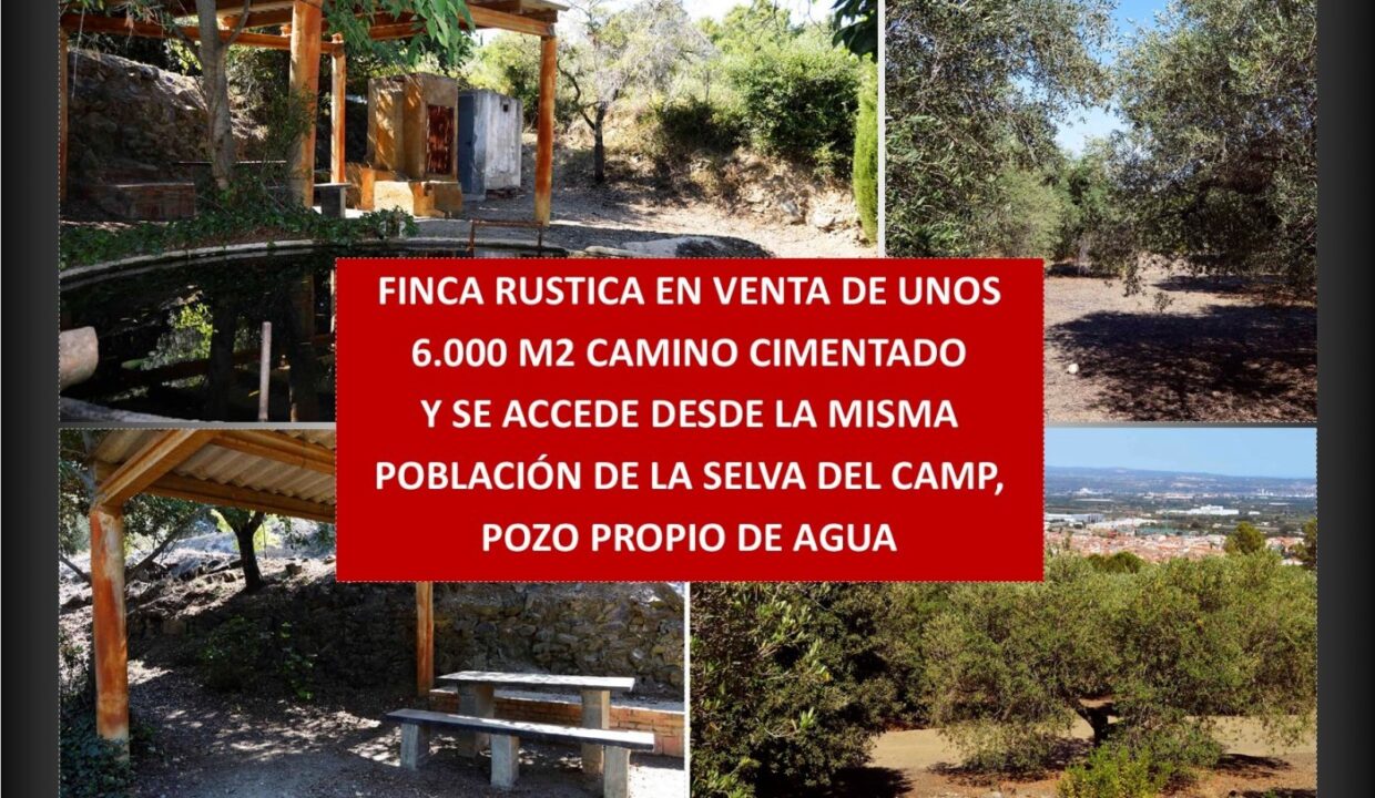 FINCA RUSTICA N LA SELVA DEL CAMP CON UNOS 6.000 M2