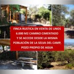 FINCA RUSTICA N LA SELVA DEL CAMP CON UNOS 6.000 M2