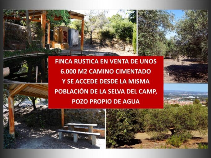 FINCA RUSTICA N LA SELVA DEL CAMP CON UNOS 6.000 M2