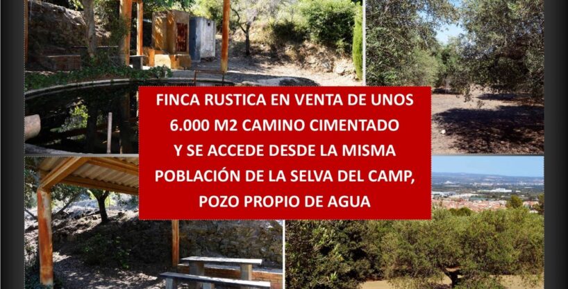 FINCA RUSTICA N LA SELVA DEL CAMP CON UNOS 6.000 M2