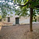 Fantástica finca con casa en la Miliana_1