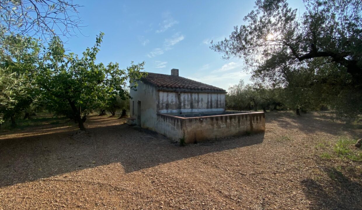 Fantástica finca con casa en la Miliana_3