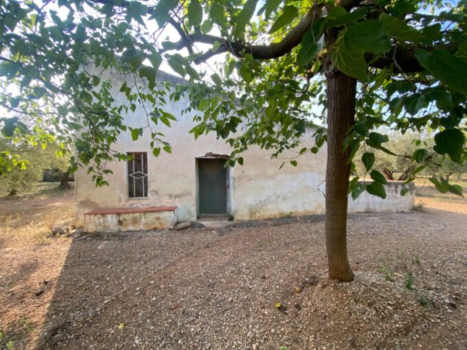 Fantástica finca con casa en la Miliana_1