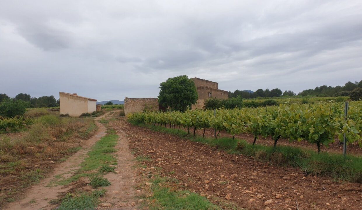 Finca Rústica en el Pla de Santa María de 37