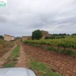 Finca Rústica en el Pla de Santa María de 37