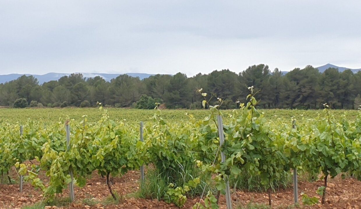 Finca Rústica en el Pla de Santa María de 37