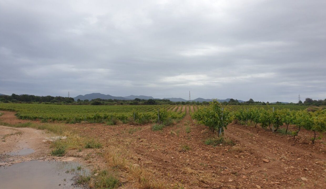 Finca Rústica en el Pla de Santa María de 37