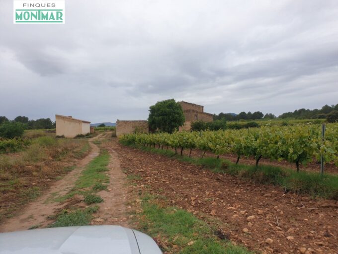 Finca Rústica en el Pla de Santa María de 37