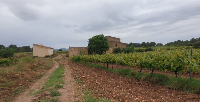 Finca Rústica en el Pla de Santa María de 37