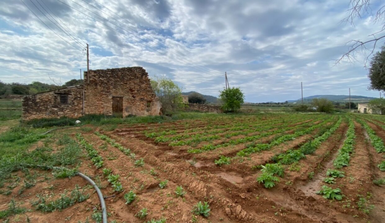 Finca a rehabilitar con agua y luz en entorno idílico_1