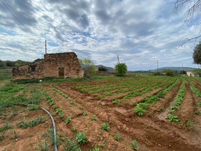 Finca a rehabilitar con agua y luz en entorno idílico_1