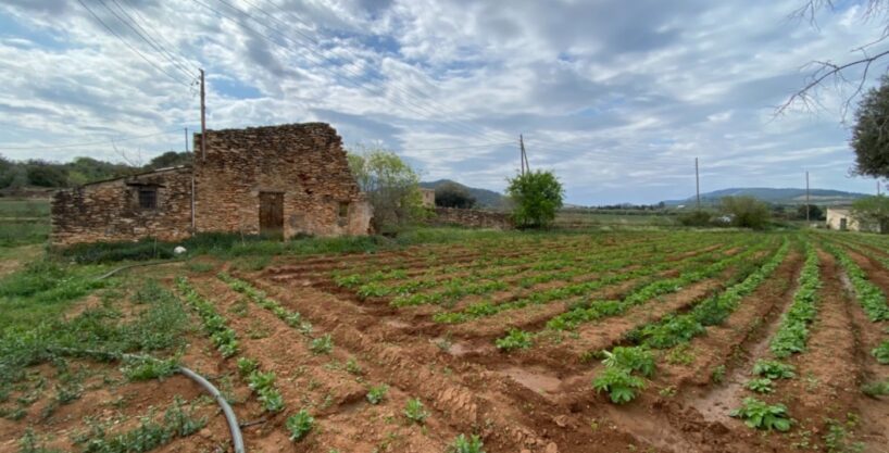 Finca a rehabilitar con agua y luz en entorno idílico_1