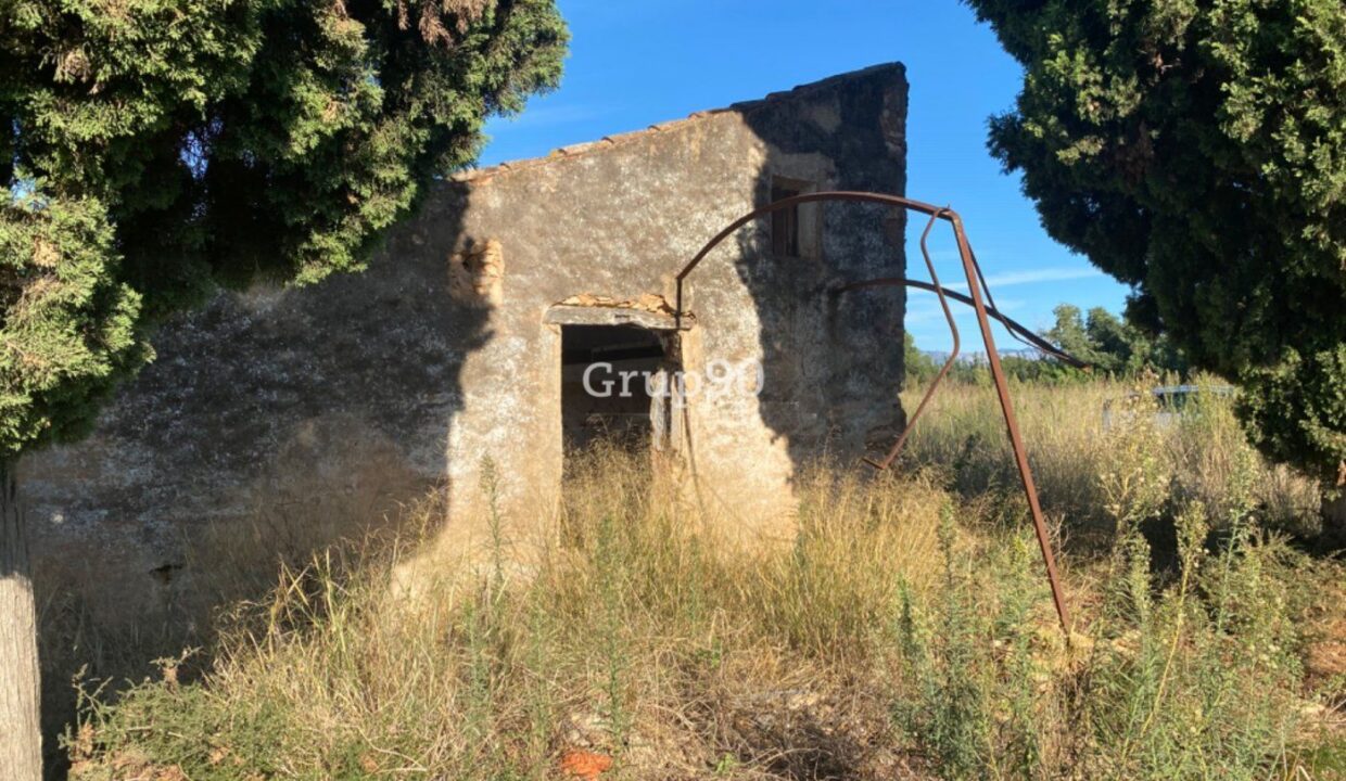 Finca con caseta de campo muy cerca del pueblo_2