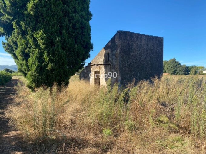 Finca con caseta de campo muy cerca del pueblo_1