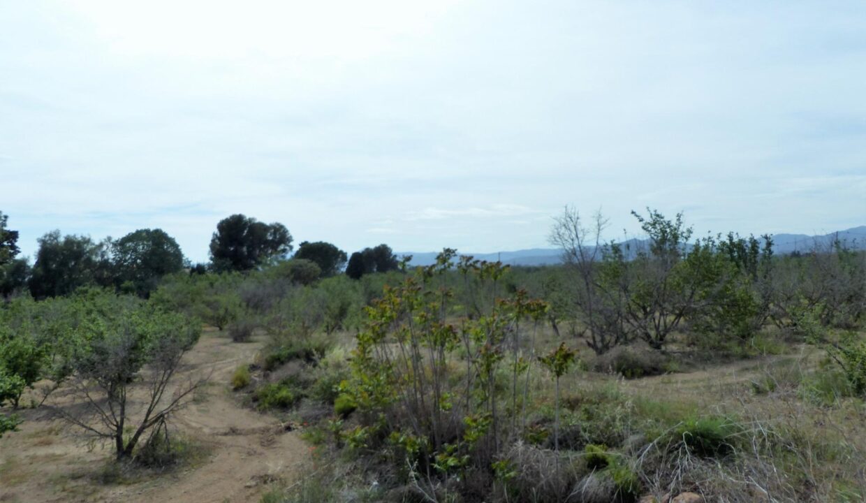 Finca de 47366 m2 en venta en Riudoms_2