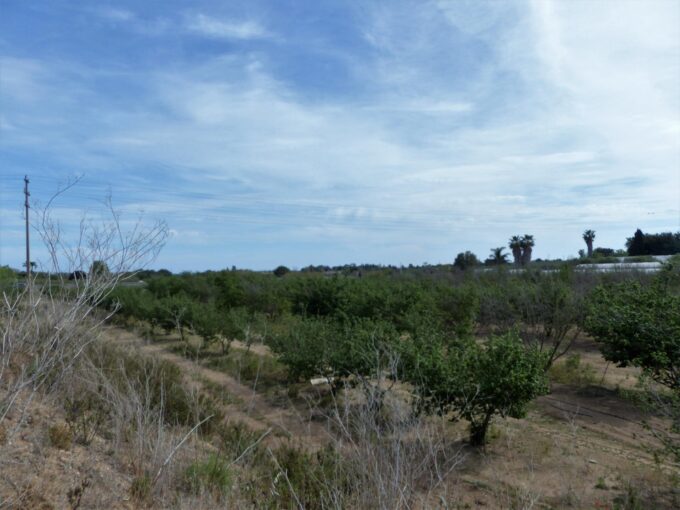 Finca de 47366 m2 en venta en Riudoms_1