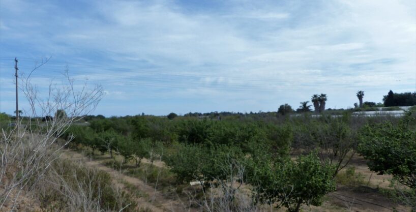 Finca de 47366 m2 en venta en Riudoms_1