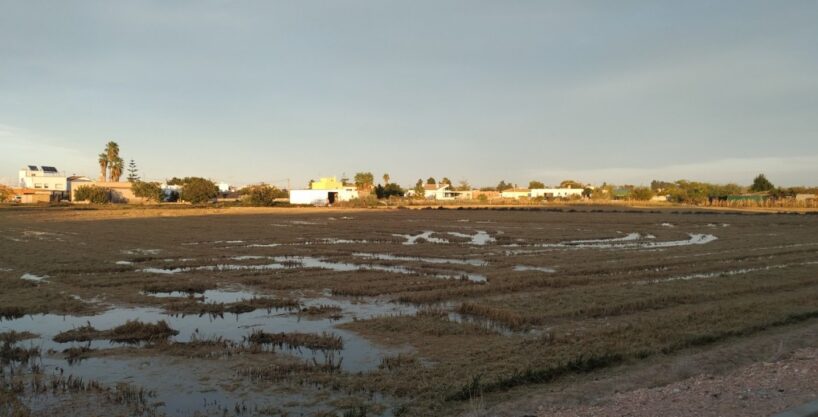 Finca de arroz de 13.140 m2