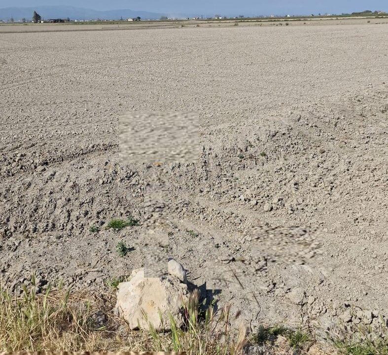 Finca de arroz  en el DELTA DEL EBRO de5.135 m2