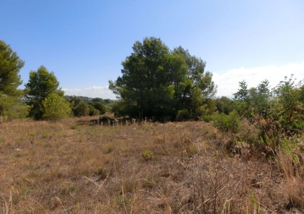 Finca rústica de 15.000 m2._5