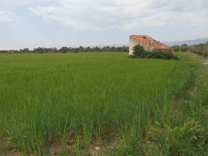 Finca rústica de 20.000 m2