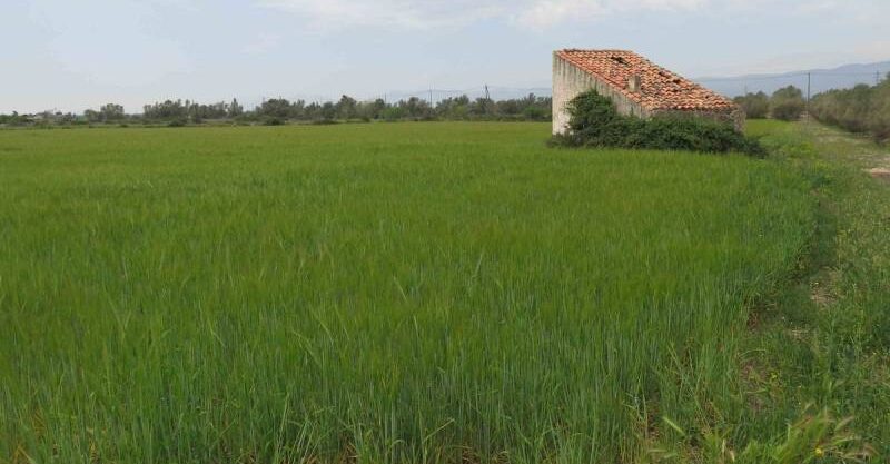 Finca rústica de 20.000 m2