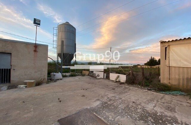 Granja para explotación de cerdos en Santa Bárbara_1