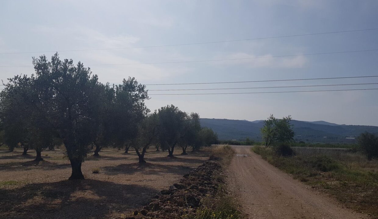 LA GALERA FINCA CON AGUA Y CASA 15m2 AMPLIABLES A 40 m2_2