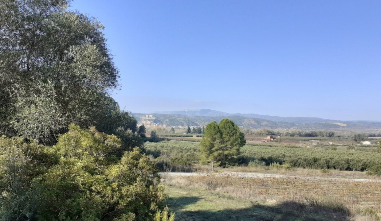 MAGNIFICA FINCA DE REGADIO EN GINESTAR AL LADO DE LA C-12_3