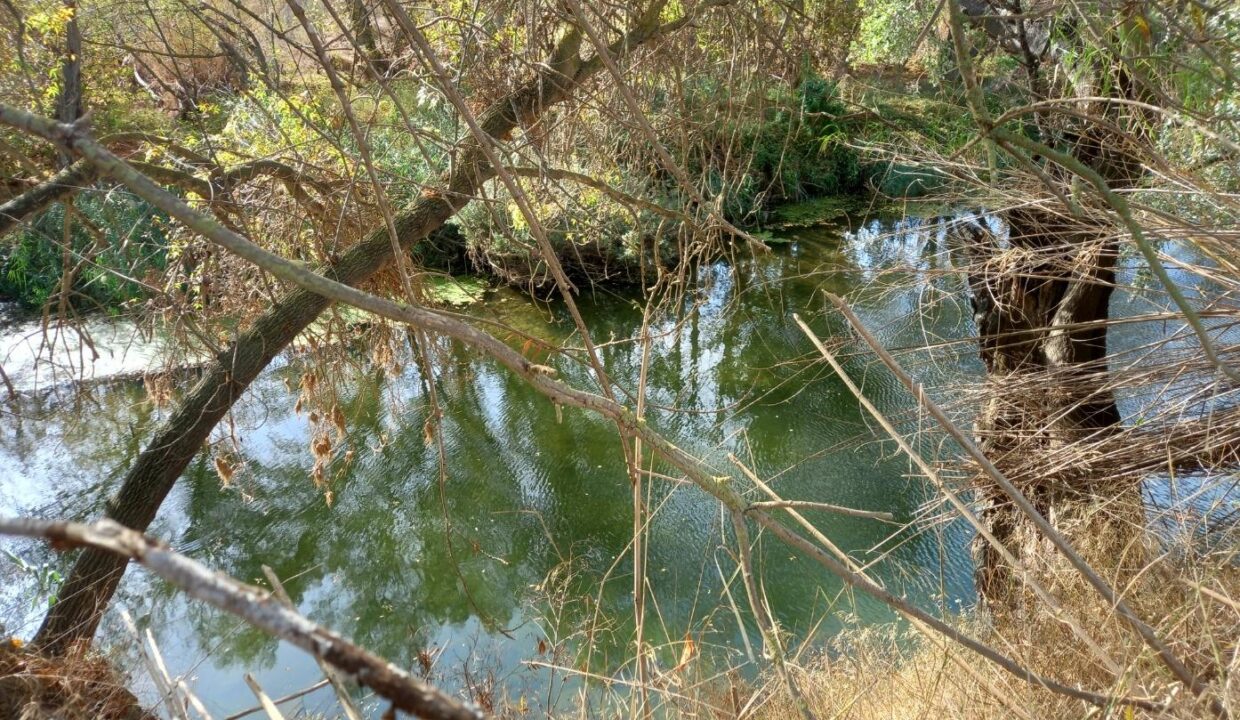 OCASION FINCA RUSTICA DE REGADIO EN BENISSANET A ORILLAS DEL EBRO_4