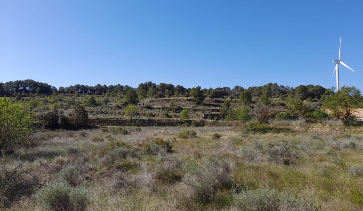 OCASION GRAN FINCA RUSTICA CON EDIFICACIONES A REFORMAR EN GANDESA_4