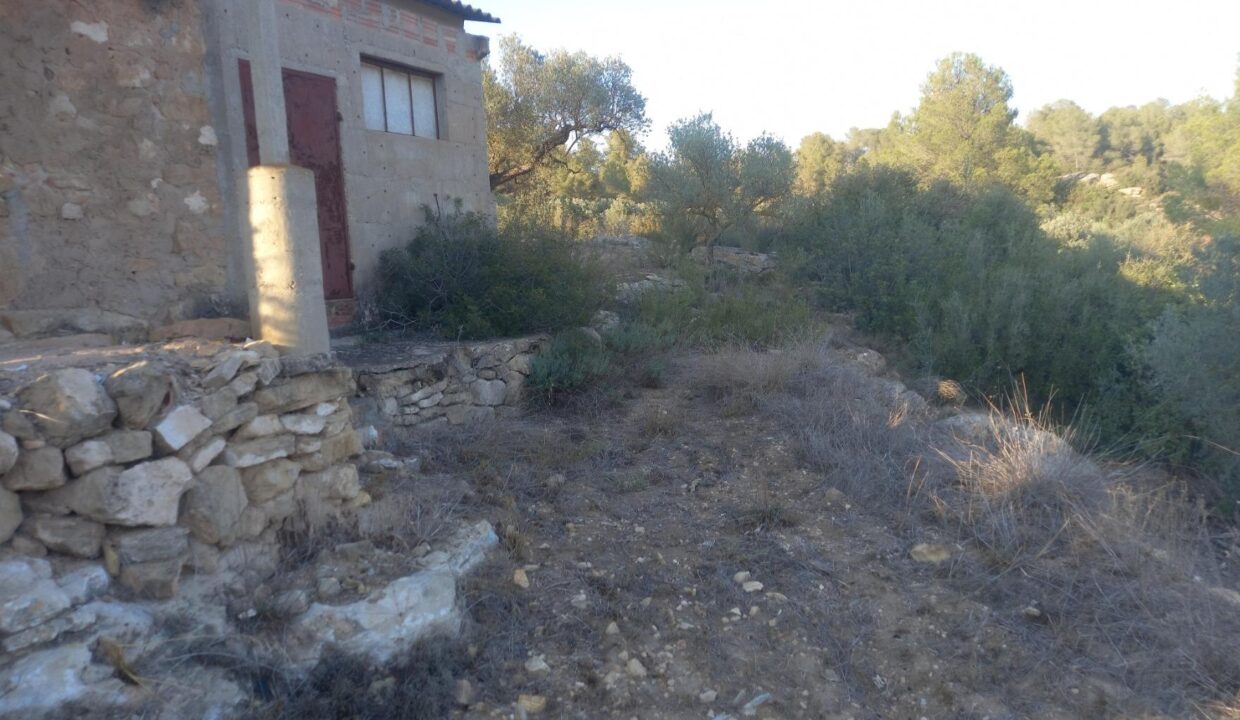 OPORTUNIDA FINCA AGRICOLA EN FLIX ( RIBERA D´EBRE)_5