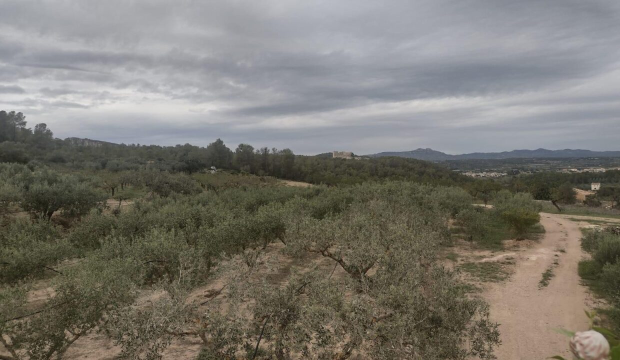 OPORTUNIDAD CASA DE CAMPO EN FINCA DE REGADIO PLANTADA DE O0LIVOS EN MIRAVET-RASQUERA_4