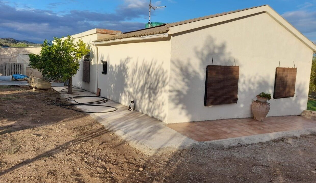 OPORTUNIDAD CASA DE CAMPO EN FINCA RUSTICA DE REGADIO EN MORA D´EBRE_1