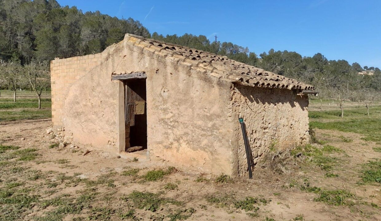 OPORTUNIDAD ESPLENDIDA FINCA DE REGADIO EN VENTA EN GINESTAR ( RIBERA D´EBRE_1