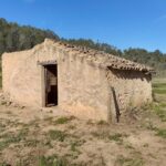 OPORTUNIDAD ESPLENDIDA FINCA DE REGADIO EN VENTA EN GINESTAR ( RIBERA D´EBRE_1