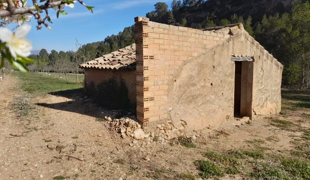 OPORTUNIDAD ESPLENDIDA FINCA DE REGADIO EN VENTA EN GINESTAR ( RIBERA D´EBRE_5