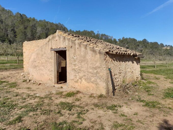 OPORTUNIDAD ESPLENDIDA FINCA DE REGADIO EN VENTA EN GINESTAR ( RIBERA D´EBRE_1