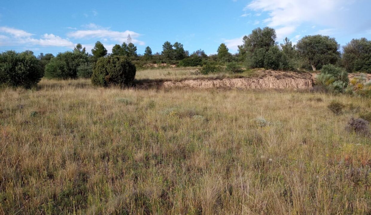 OPORTUNIDAD FINCA AGRICOLA DE 2 HAS EN VINEBRE_4