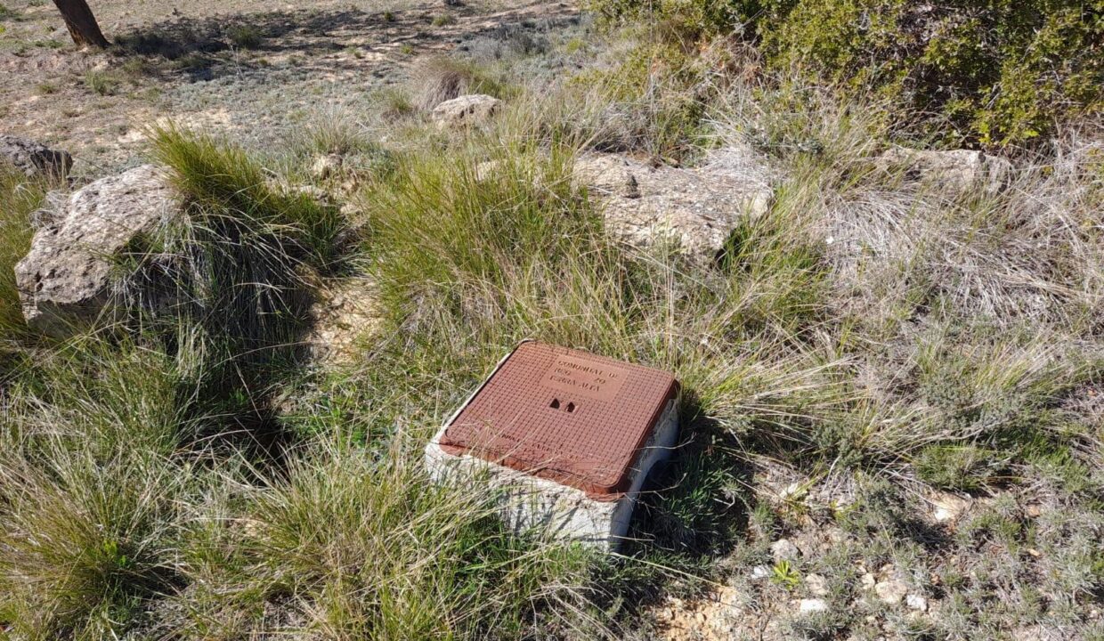 OPORTUNIDAD FINCA DE REGADIO EN BATEA CON CASETA A RESTAURAR_2