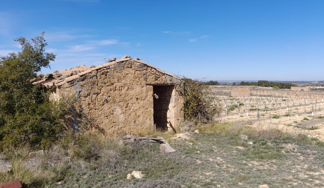 OPORTUNIDAD FINCA DE REGADIO EN BATEA CON CASETA A RESTAURAR_1