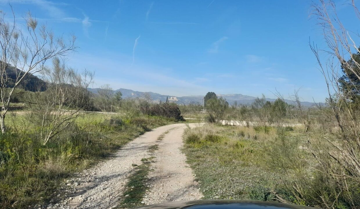 OPORTUNIDAD FINCA DE REGADIO EN BATEA CON CASETA A RESTAURAR_4