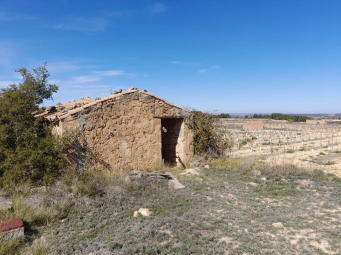 OPORTUNIDAD FINCA DE REGADIO EN BATEA CON CASETA A RESTAURAR_1