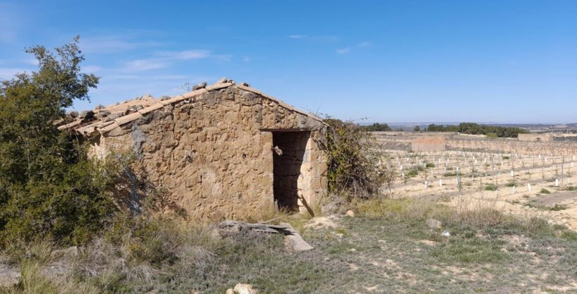 OPORTUNIDAD FINCA DE REGADIO EN BATEA CON CASETA A RESTAURAR_1