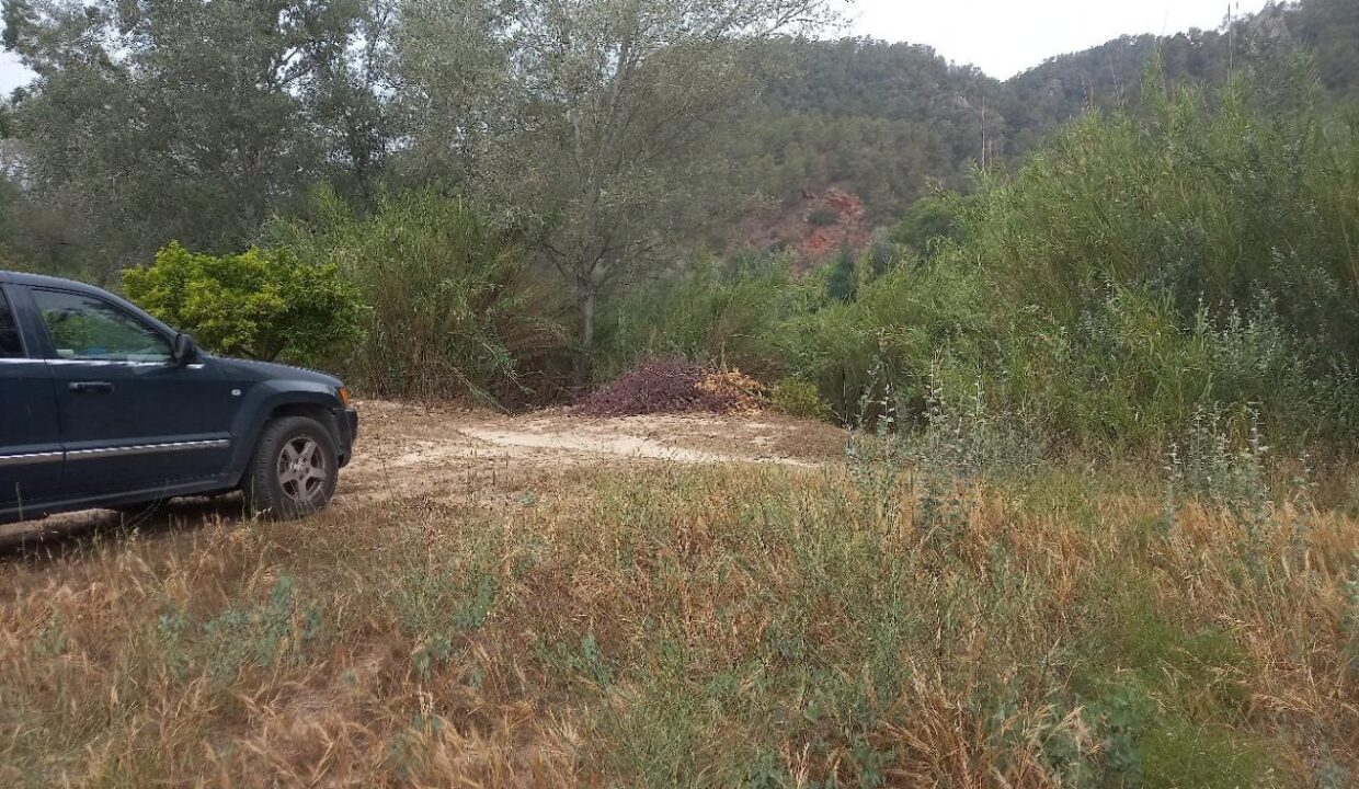 OPORTUNIDAD FINCA DE REGADIO EN MIRAVET CON ACCESO DIRECTO AL RIO EBRO._4